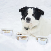 Beef Bowl-Fresh-Frozen Homemade Dog Meal for Anchorage Residents Only