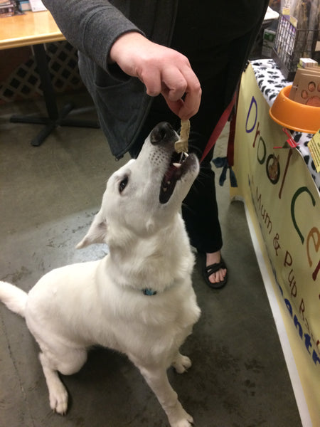 Fresh Handmade Alaskan Salmon & Cod Dog Treats