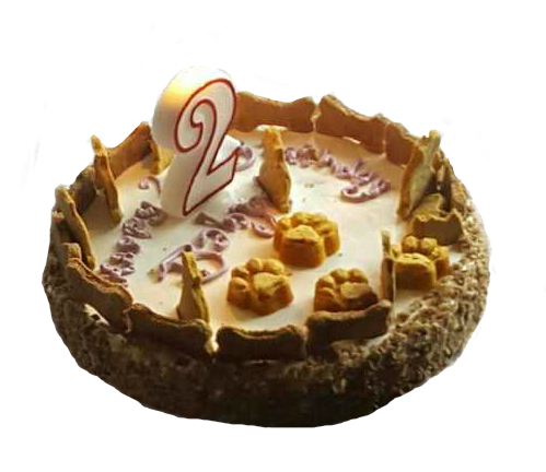 pumpkin chicken birthday cake for dogs