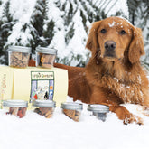 Drool Central Introductory Sampler Pack made in Alaska dog treats