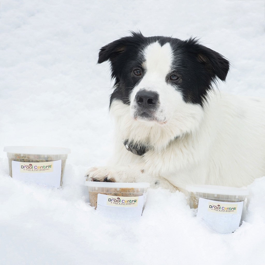 Beef Bowl-Fresh-Frozen Homemade Dog Meal for Anchorage Residents Only