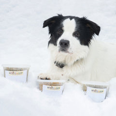 Chicken Bowl-Fresh Frozen Dog Food for Anchorage Residents Only