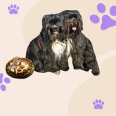 Drool Central: A Mum & Pup Barkery LLC