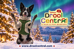 Digital Holiday Gift Card
