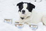 Border Collie poses with fresh-frozen meals by Drool Central.