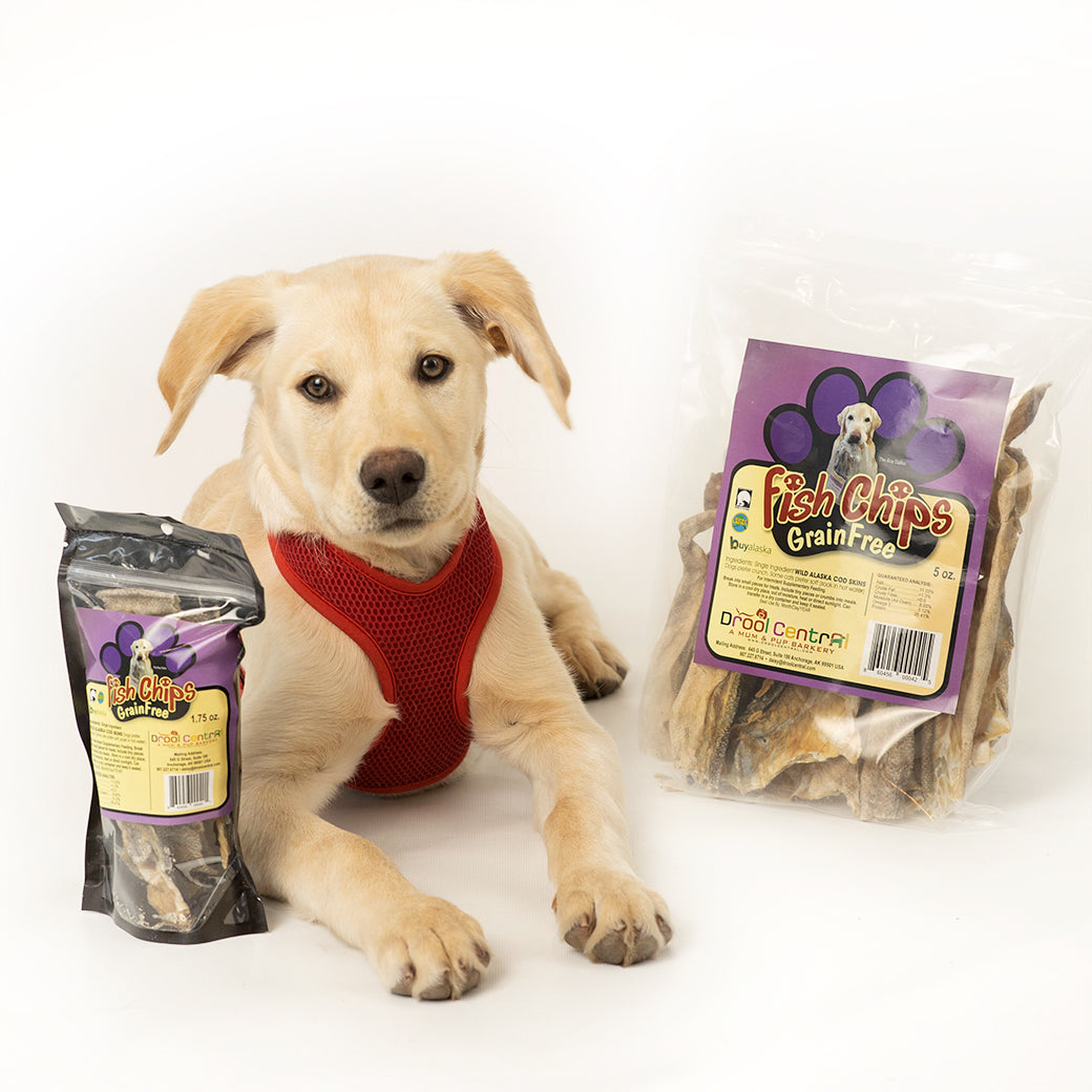 Puppy surrounded with cod skins treats.