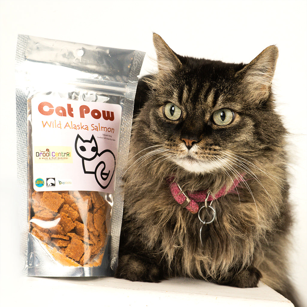 Cat Pow - Wild Alaska Salmon Treats – Drool Central