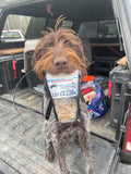 Dog carrying Liverfish Training Treat Pouch.