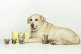 Yellow lab retriever poses with Drool Central's Introductory Pack