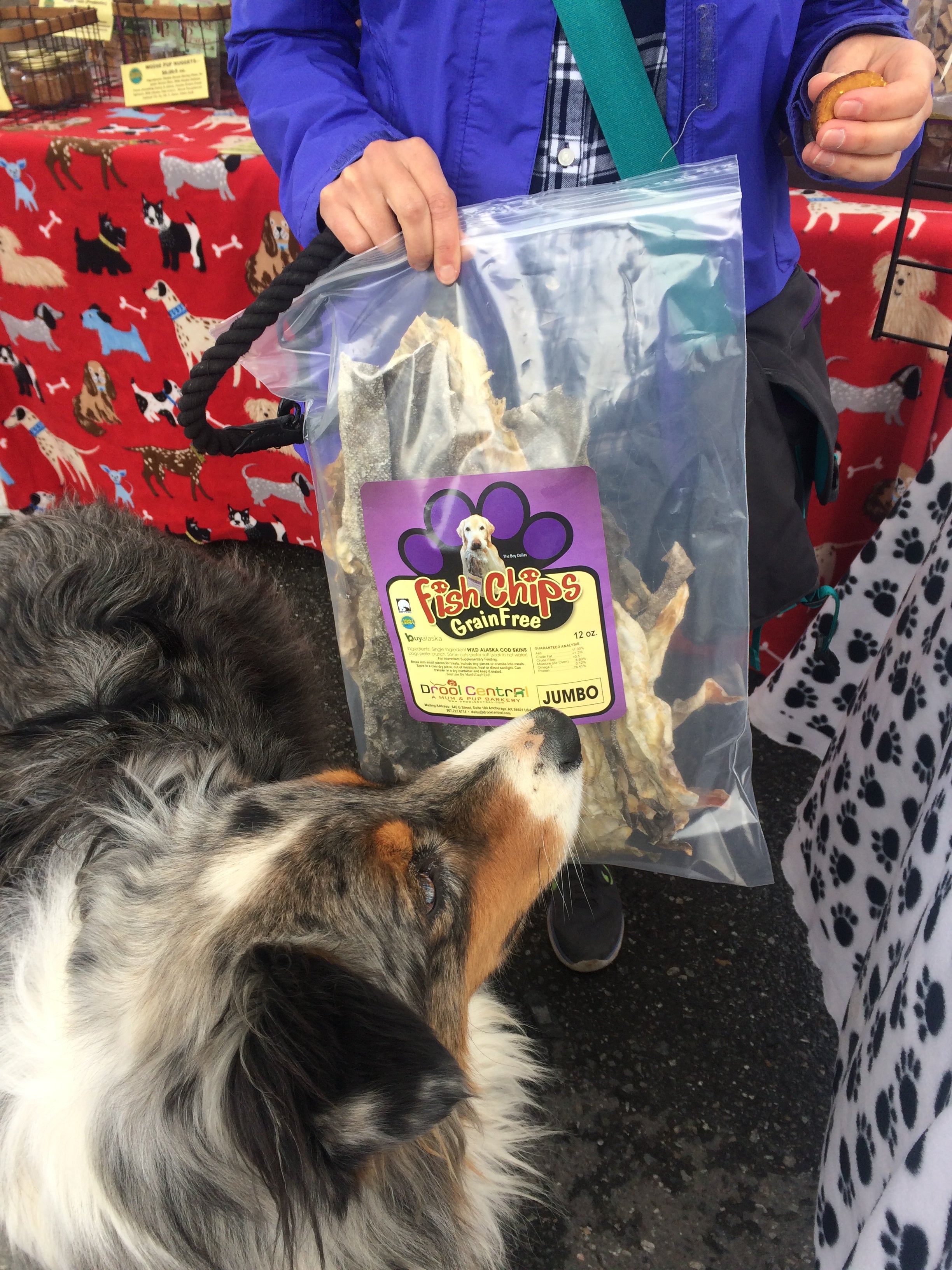 Murphy, an Australian Sheep dog, shops for his favorite wild Alaska cod skins.